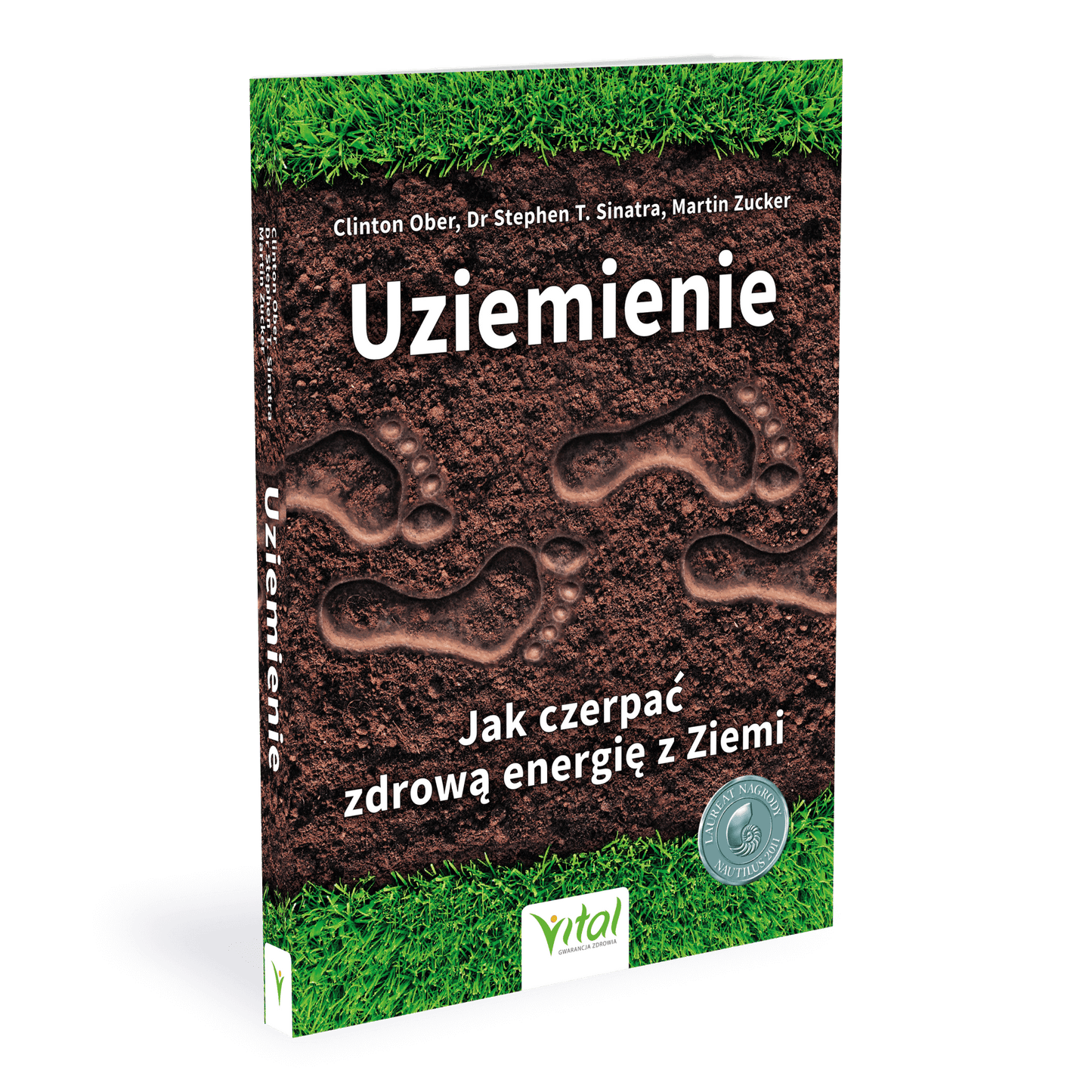 Uziemienie