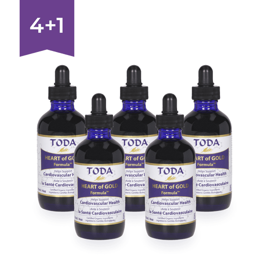 TODA - zestaw 4 x 120 ml + 120 ml w prezencie